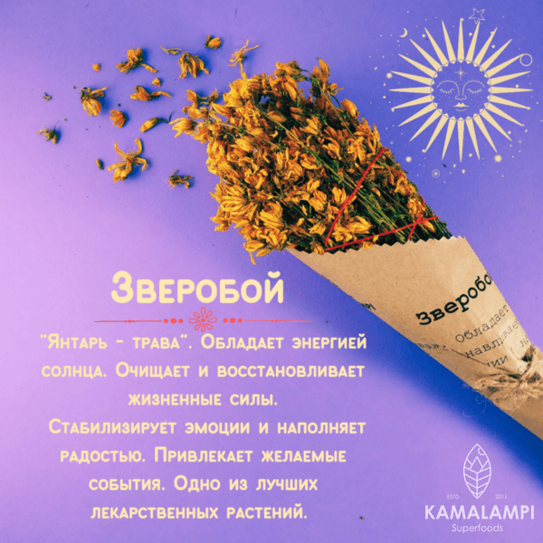 Зверобой скрутка для окуривания, Kamalampi