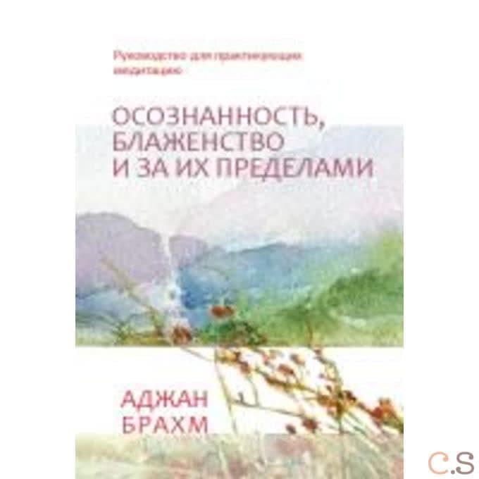 Осознанность, блаженство и за их пределами