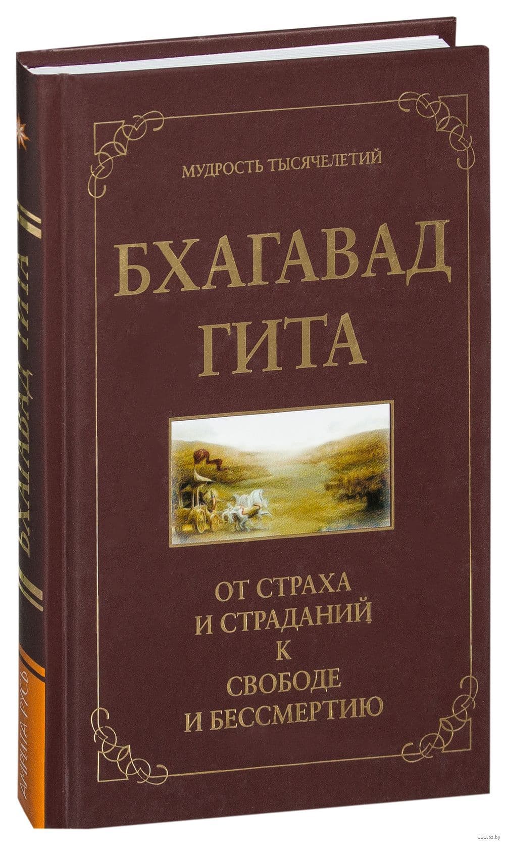 Бхагавад гита. От страха и страданий к свободе и бессмертию.