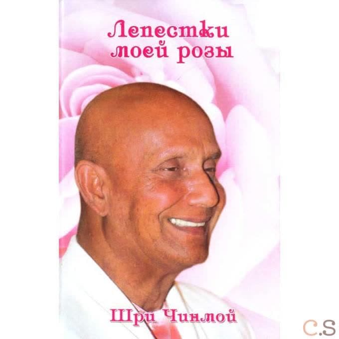 Лепестки моей розы