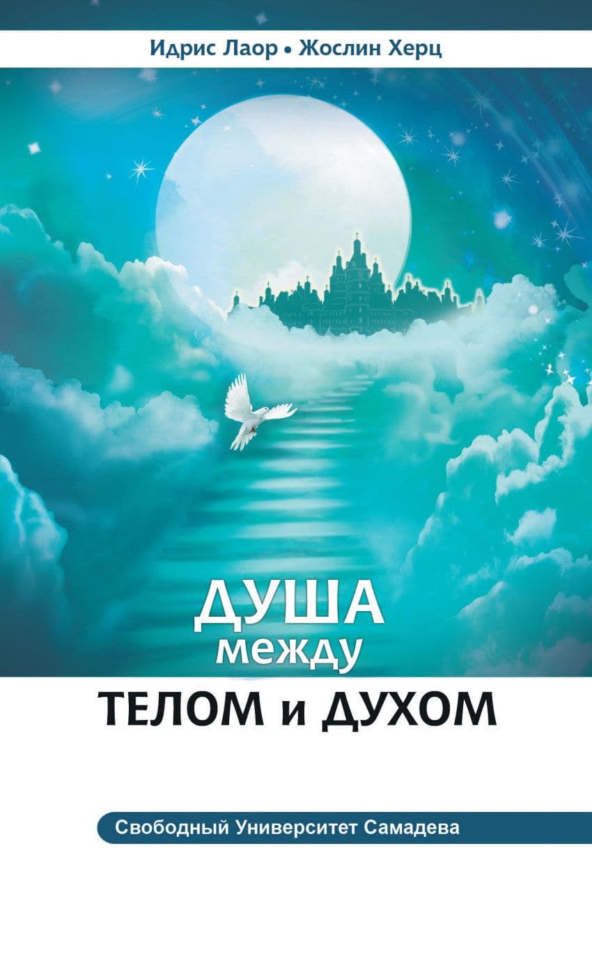 Душа между телом и духом. Фрагменты сущностной психологии