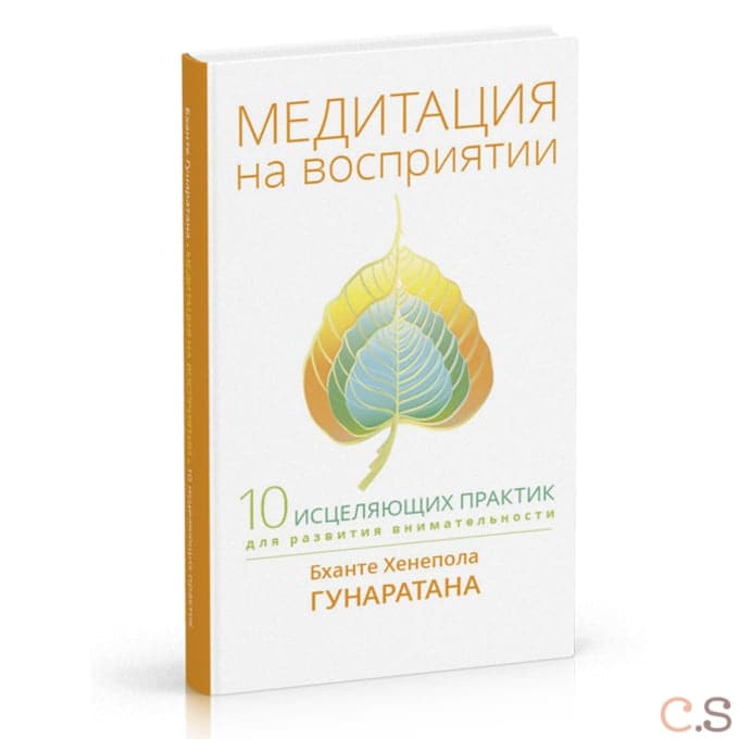 Медитация на восприятии. Десять исцеляющих практик для развития внимательности