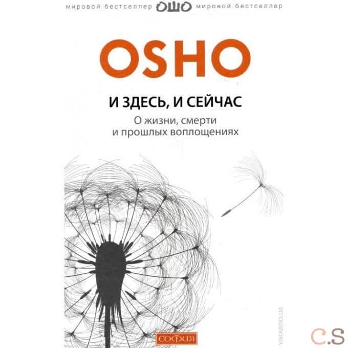 И здесь и сейчас: О жизни, смерти и прошлых воплощениях