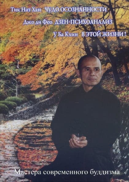Чудо осознанности. Дзен-психоанализ. В этой Жизни