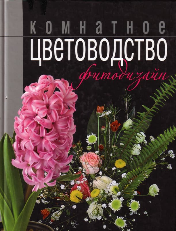 Комнатное цветоводство фитодизайн