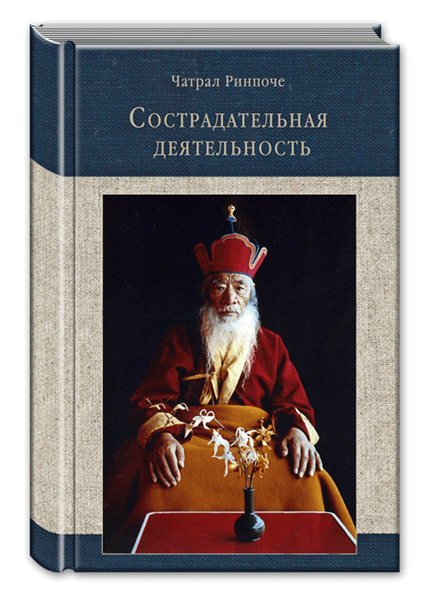 Сострадательная деятельность