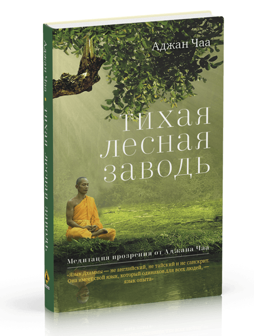 Тихая лесная заводь. Медитация прозрения от Аджана Чаа