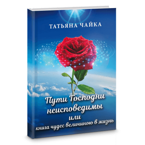 Пути Господни неисповедимы или книга чудес величиною в жизнь