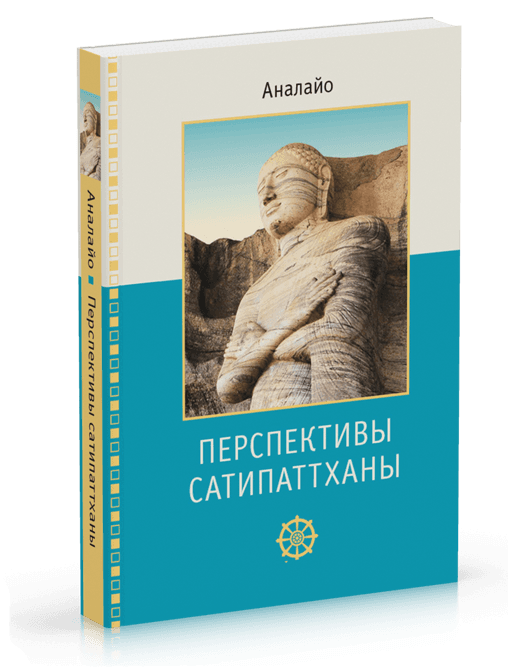 Перспективы Сатипаттханы